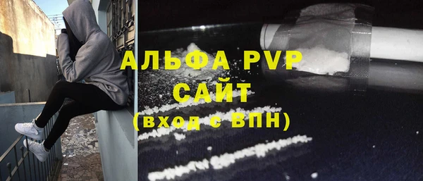 прущие грибы Михайловск
