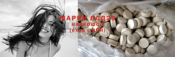 прущие грибы Михайловск