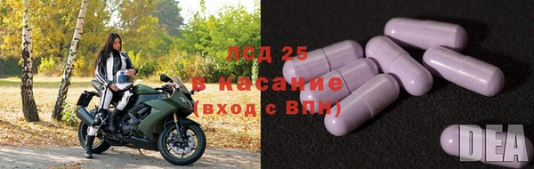 прущие грибы Михайловск