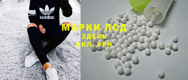 прущие грибы Михайловск